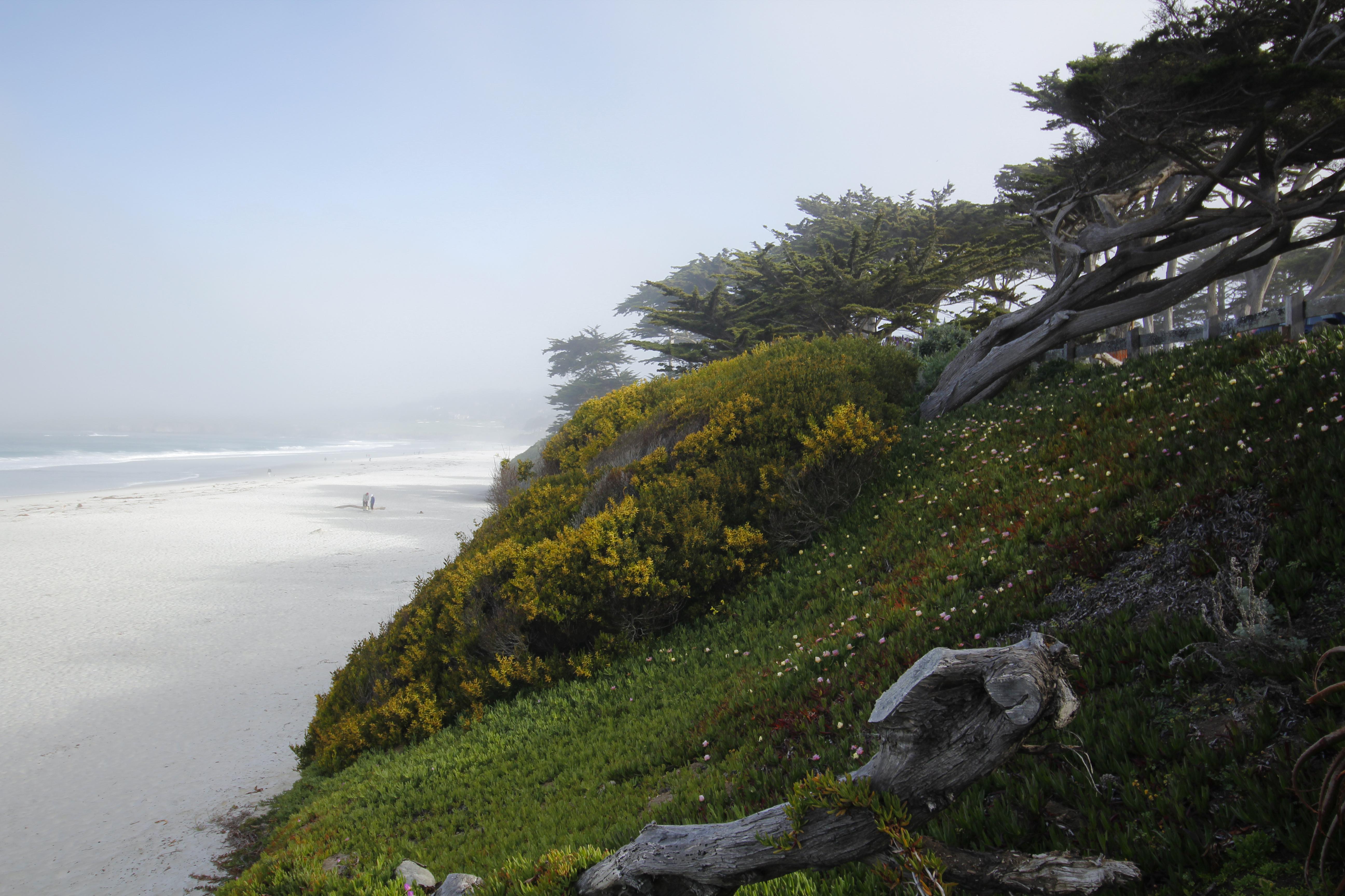 卡梅尔乡村酒店 Carmel-by-the-Sea 外观 照片